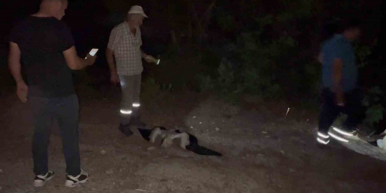 Leylekler için köylerde elektrikler kesildi