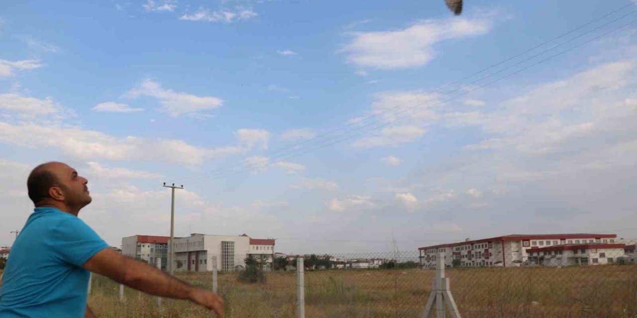 Tedavilerinin ardından sağlığına kavuşan 2 kulaklı orman baykuşu doğaya salındı