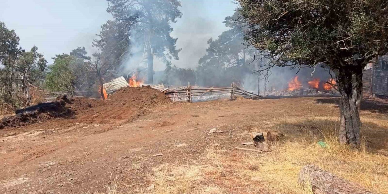 Bursa’da ağıl yangını