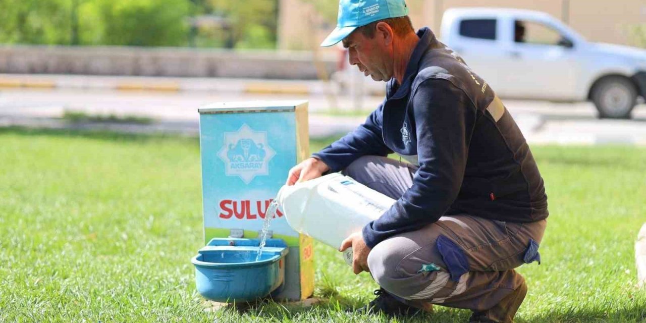 Aksaray Belediyesi aşırı sıcaklarda can dostlarını unutmadı