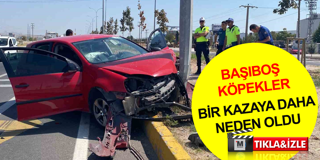 Aksaray Konya yolunda başı boş köpek kazaya neden oldu! Direğe çarpan araçta 2 yaralı