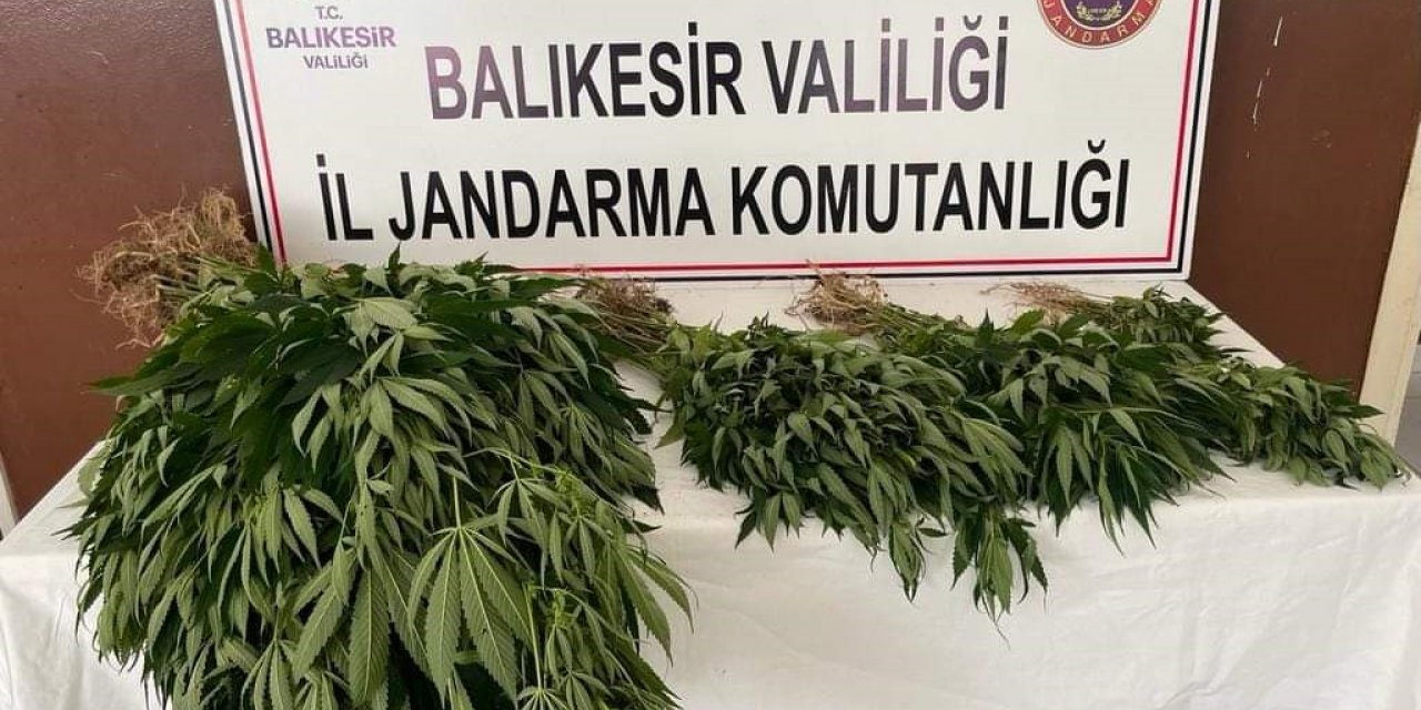 Erdek Kapıdağ’da yasadışı uyuşturucu operasyonu