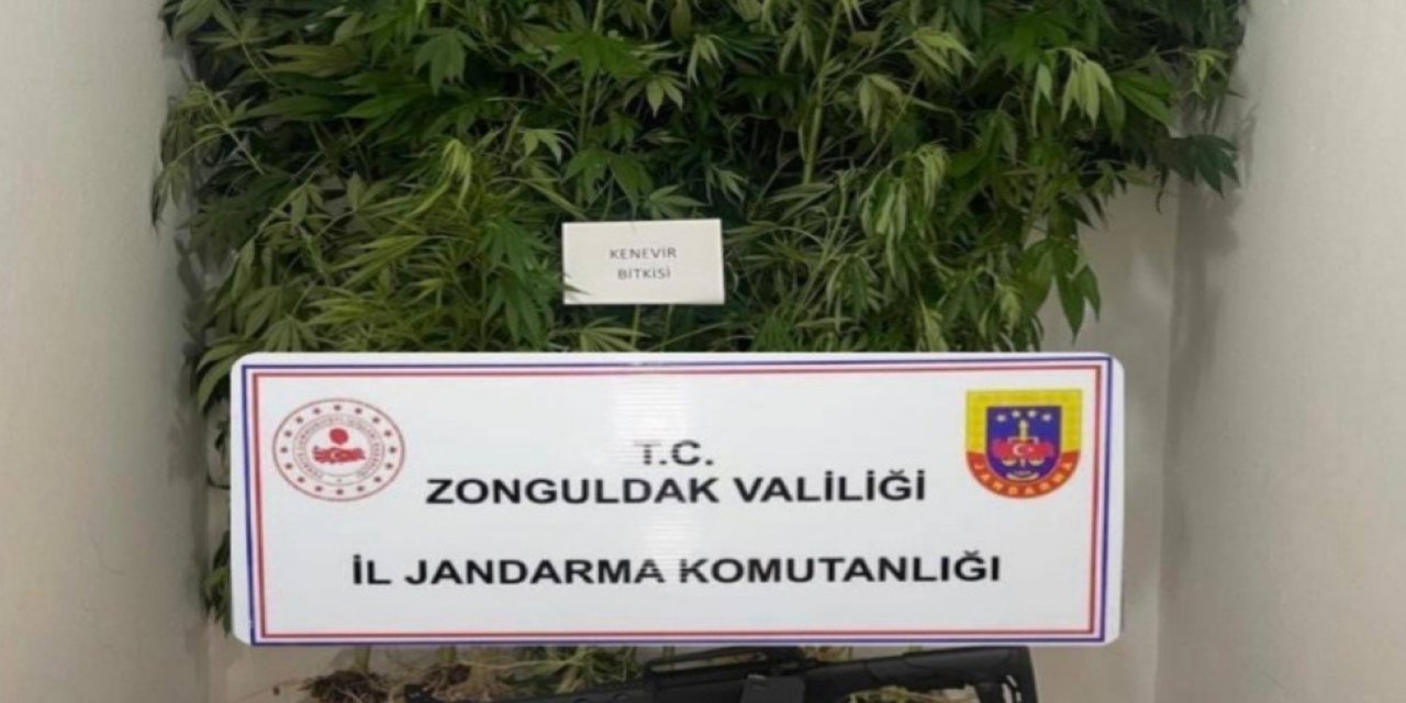 Jandarmadan uyuşturucu operasyonu