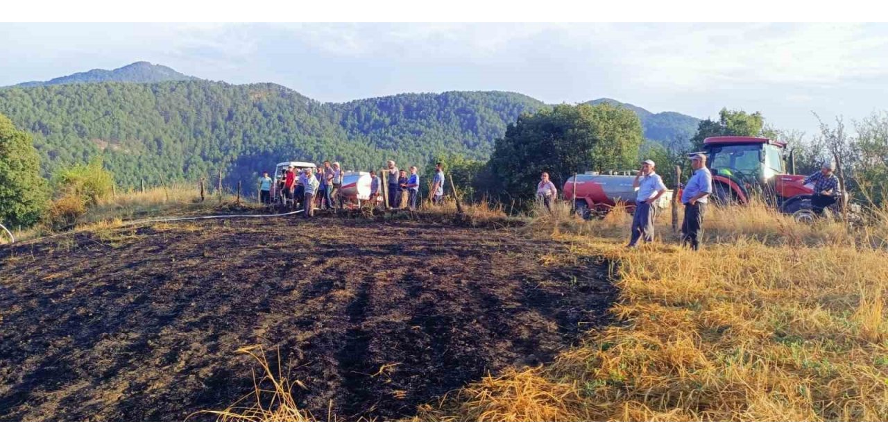 Tarla yangını ormana sıçramadan köylüler tarafından söndürüldü