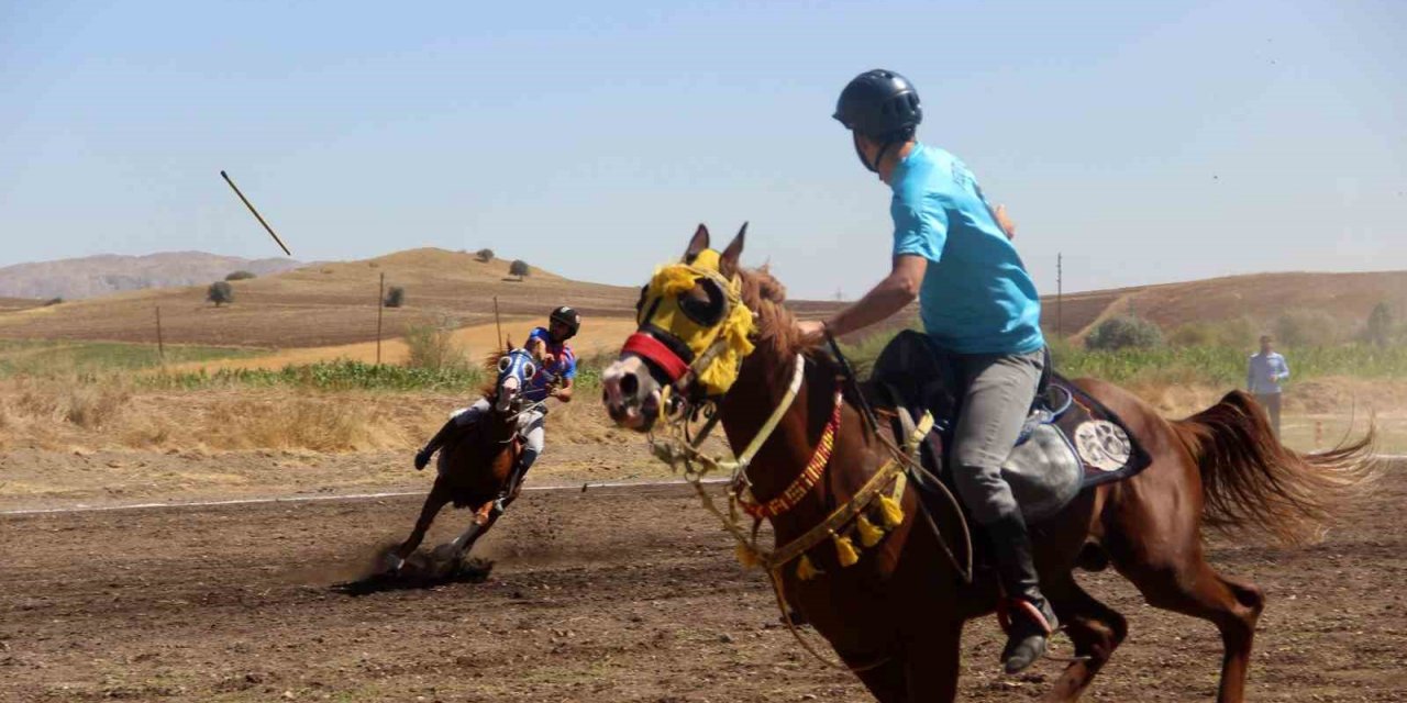 Sivas’ta ata sporu cirit heyecanı