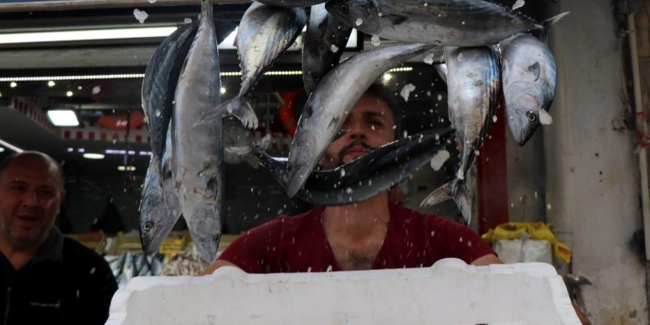 Karadeniz’de bu yıl palamut yok, hamsi var