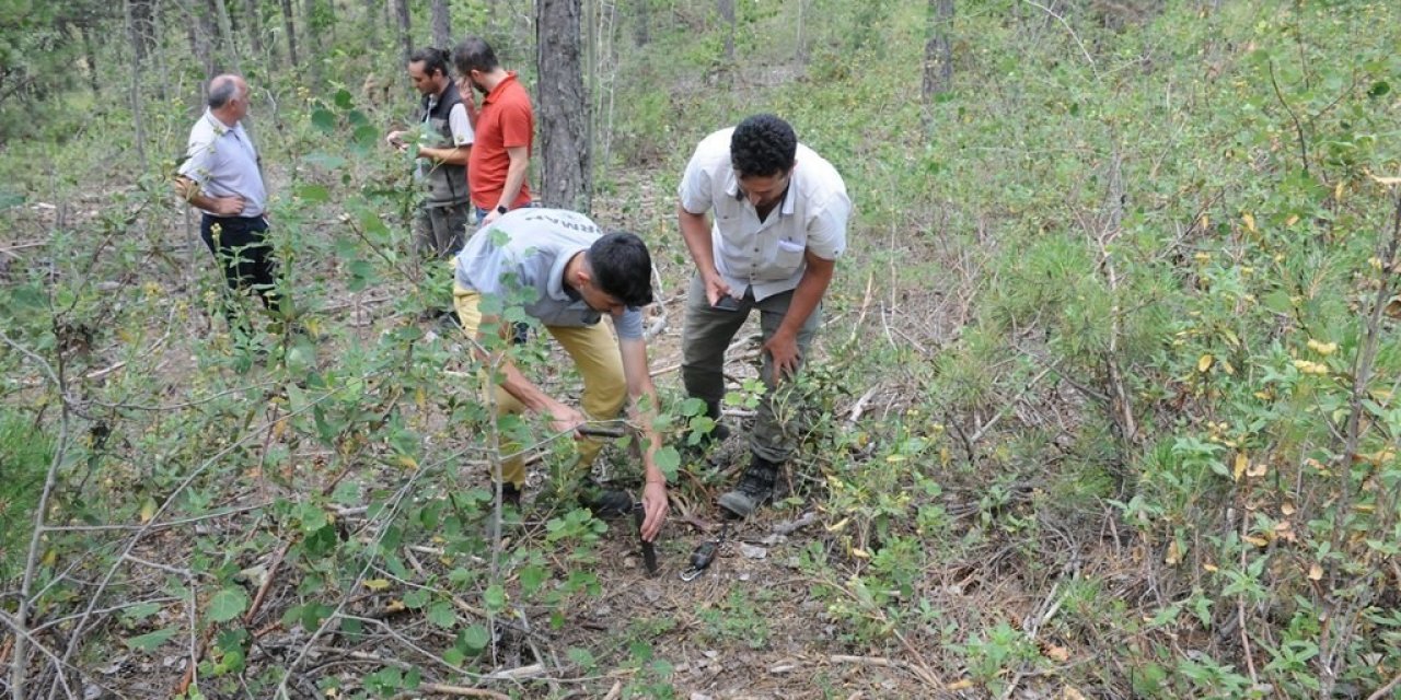 Kütahya’da ’Ulusal Orman Envanteri’ çalışmaları başladı