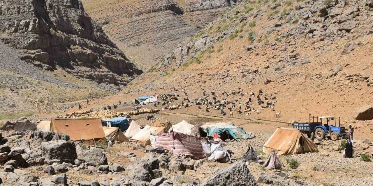Terörden arındırılan yaylalarda hayvancılık yapanlar için yaşam alanları oluşturuldu