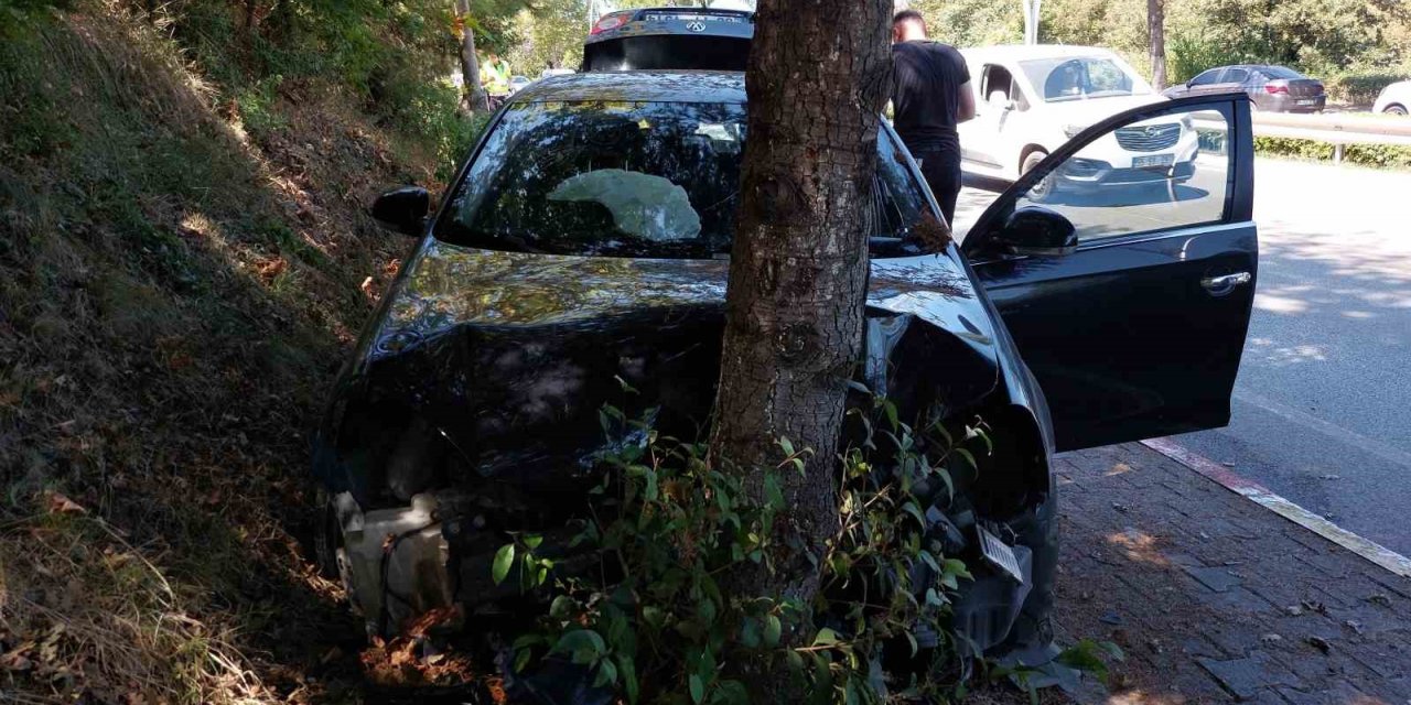 Samsun’da otomobil ağaca çarptı: 1 yaralı