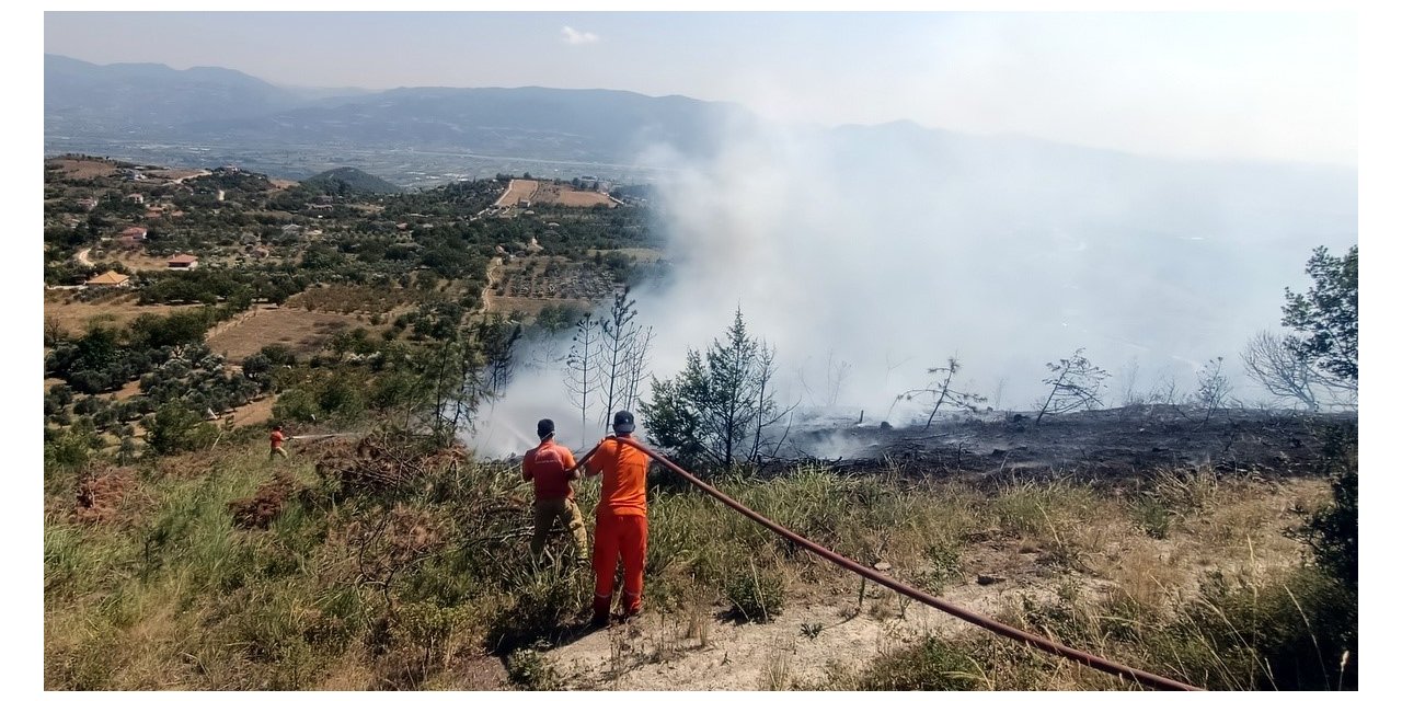 Arazide çıkan yangın ağaçlık alana sıçradı, 8 dönüm yer kül oldu