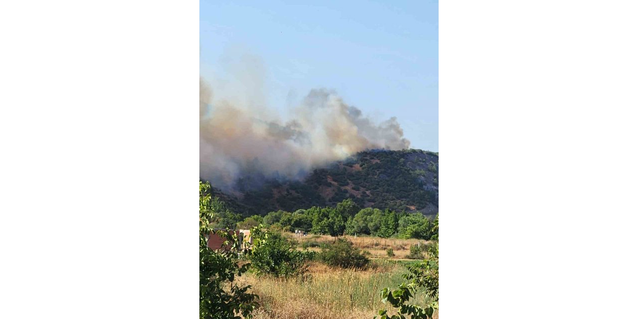 Balıkesir Valisi Ustaoğlu: "Orman yangını kontrol altına alındı"