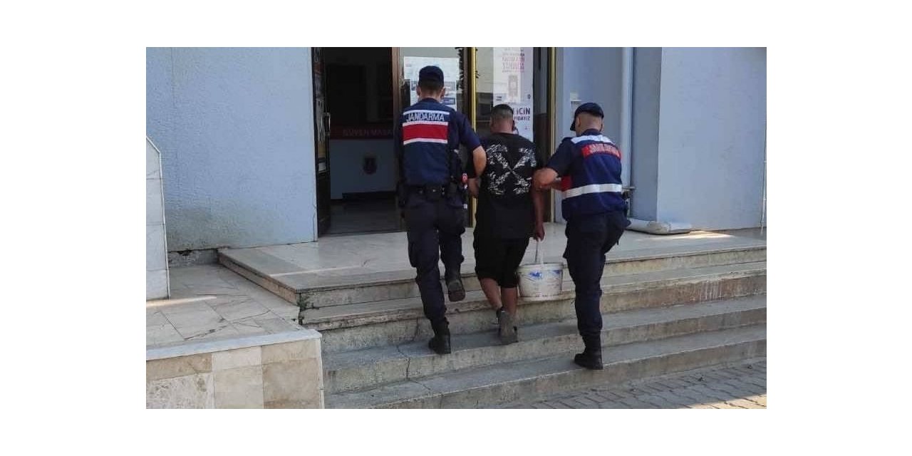 İncir hırsızı suçüstü yakalandı