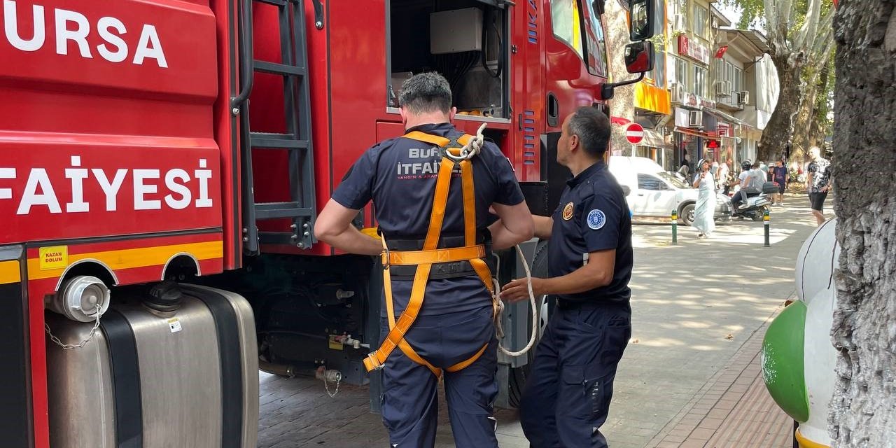 152 yıllık anıt ağaçta mahsur kalan kuş itfaiye ekipleri tarafından kurtarıldı