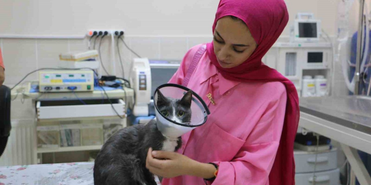 Bir sene içinde 6 ameliyat geçiren ’Duman’, ampute edilerek yaşamını sürdürüyor