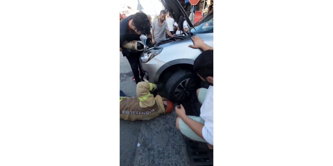 Otomobil kaputuna sıkışan yavru kediyi itfaiye kurtardı: O anlar kamerada