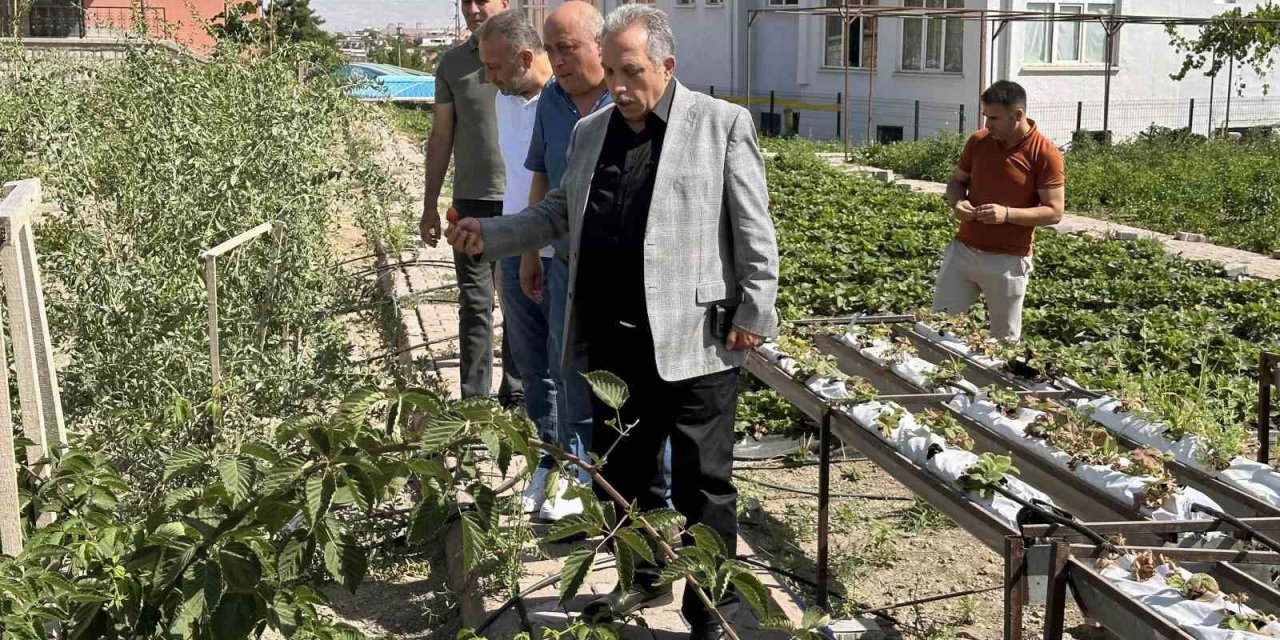 Talas’ta Deneme Bahçeleri Model Oluyor