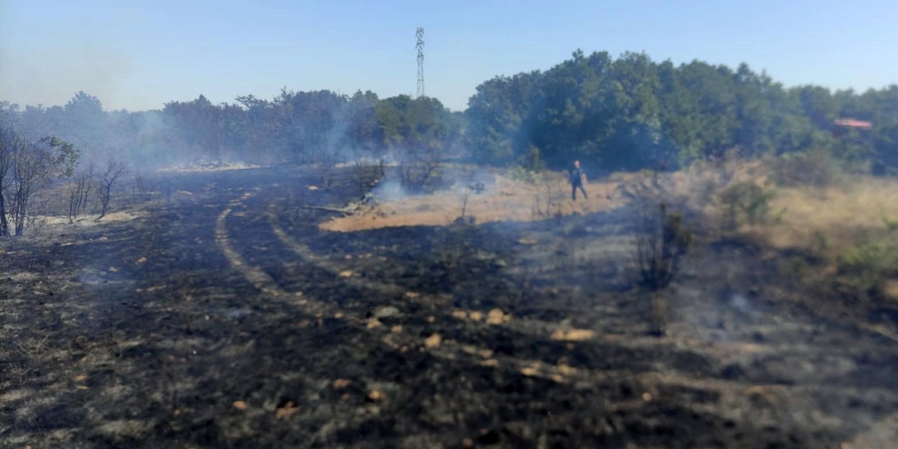 Biga’da ormanlık alanda çıkan yangın kontrol altına alındı