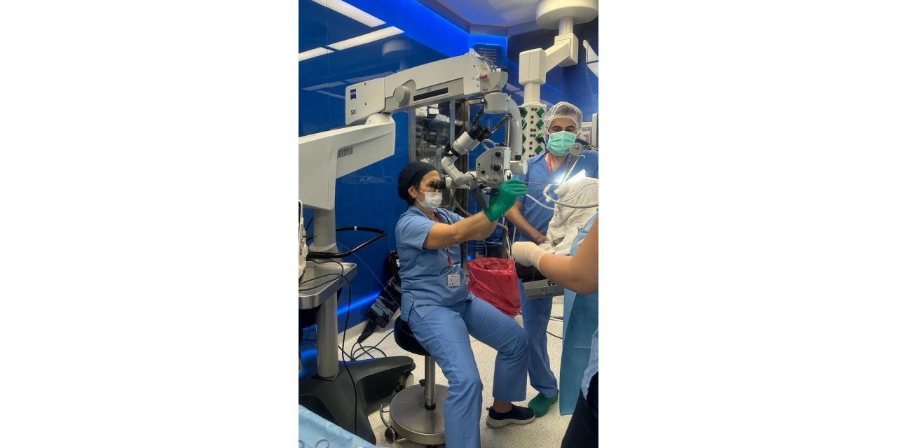 Ses teli bozukluğuna kişinin kendi kanından şifa