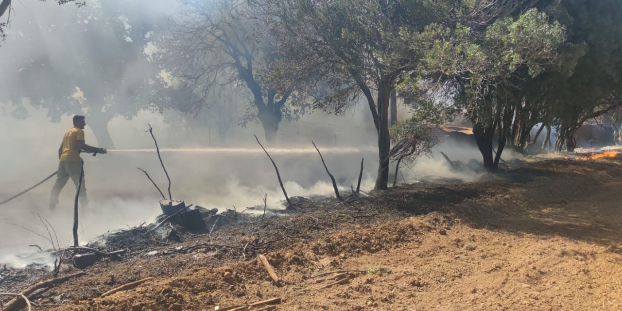 Ayvacık’ta ziraat alanında çıkan yangın kontrol altına alındı
