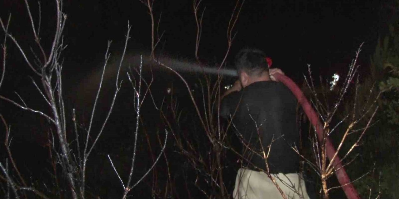 Pendik Göçbeyli köyünde ormanlık alanda yangın