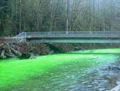 Nehir yeşile döndü