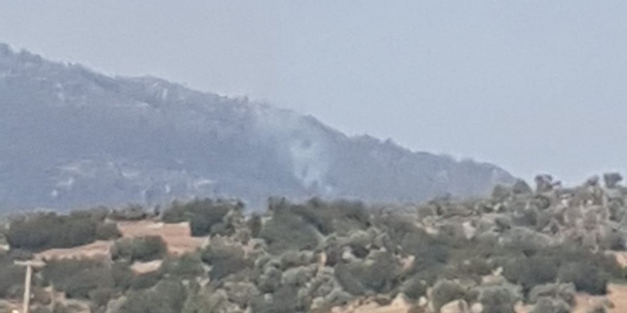 Çine’de orman yangını, müdahale sürüyor