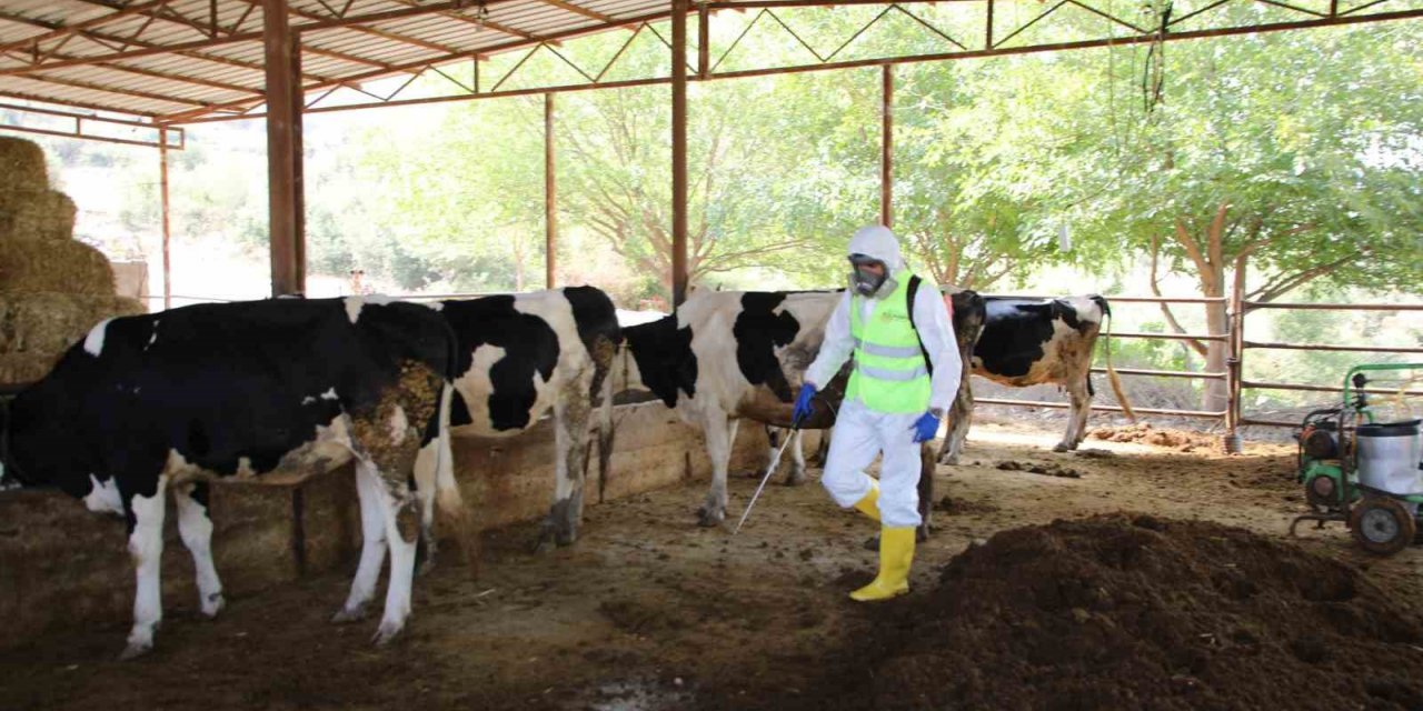 Yüreğir Belediyesi, kırsal mahallelerde vektörle mücadele çalışması başlattı