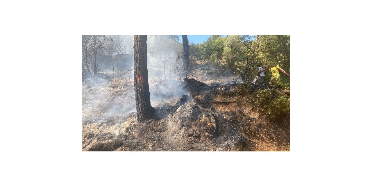 Çine’deki orman yangını büyümeden kontrol altına alındı