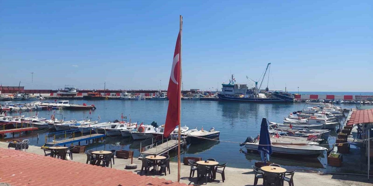 Tayfalarda 1 Eylül heyecanı: Hamsi ve lüfer bolluğu bekleniyor