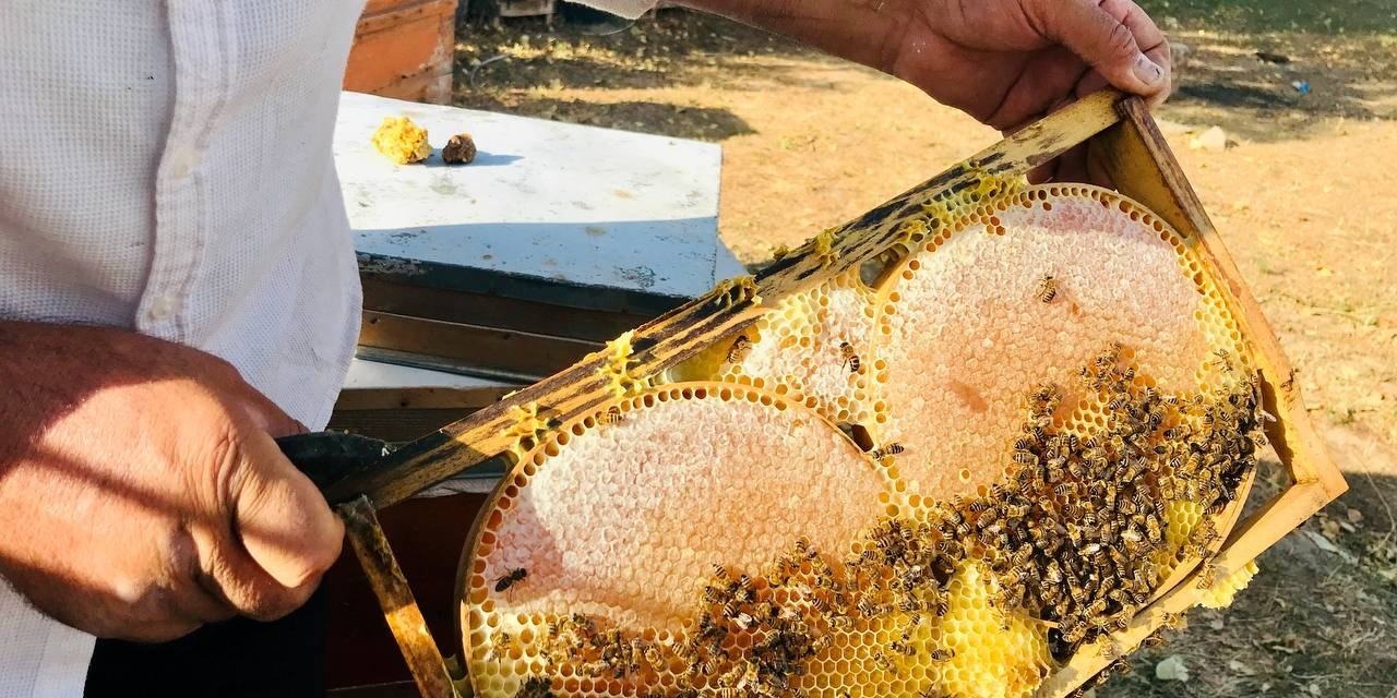 Merakla başladığı arıcılıkta, 70 kovandan binlerce kilo "Gülbal" üretiyor