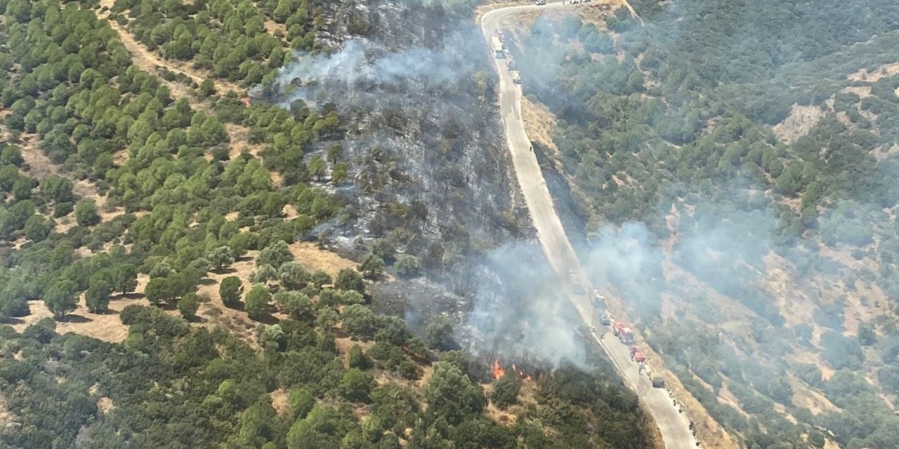 Ödemiş’teki orman yangını kontrol altında
