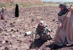 İslamda Kadın ve Konumu