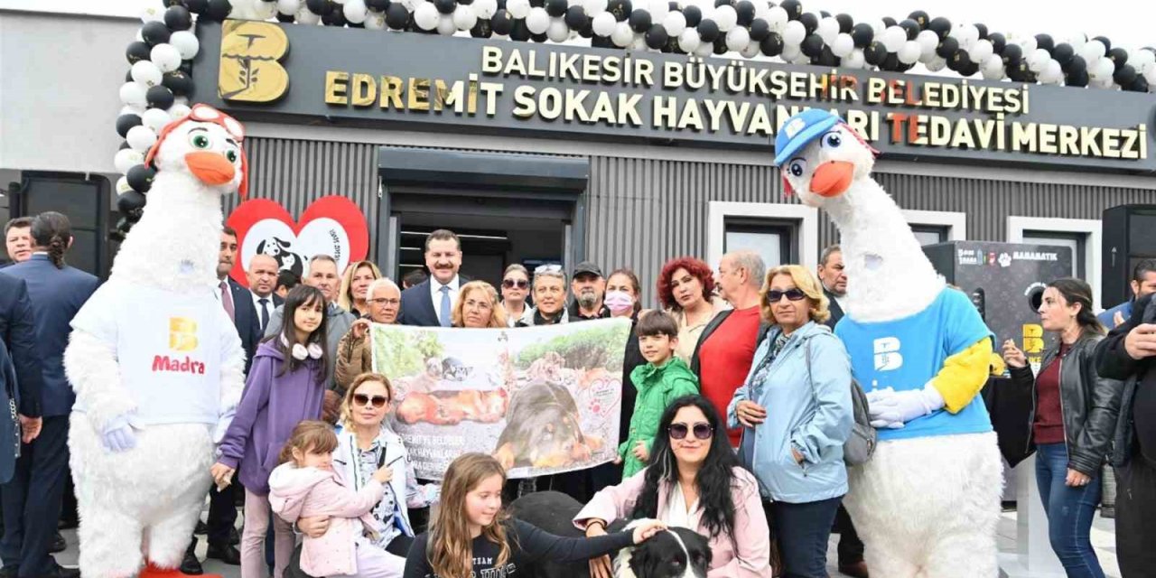 Büyükşehir, sokak hayvanları için var gücüyle çalışıyor