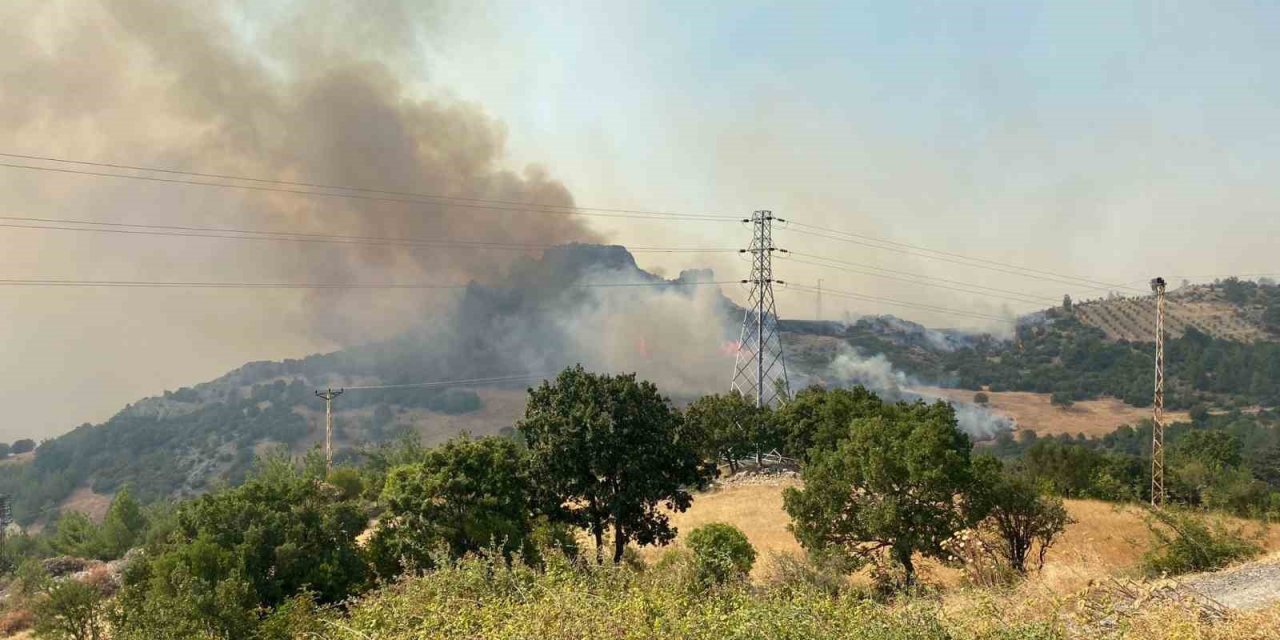 Çanakkale’de büyük orman yangını...2 köy boşaltıldı