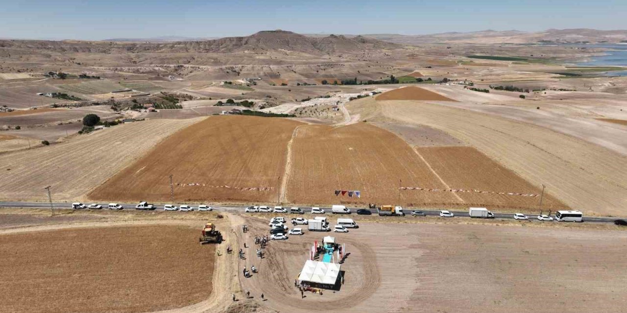 Kayseri’de aspir hasadı başladı