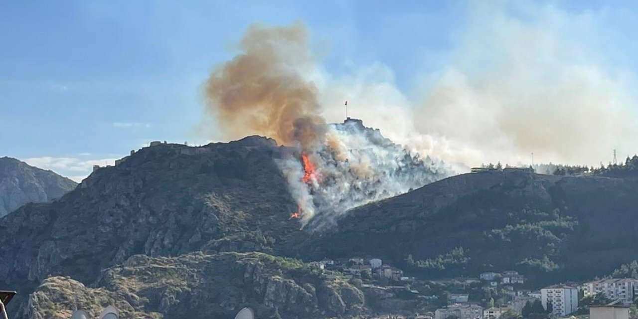 Amasya Kalesi’nde ormanlık alanda yangın