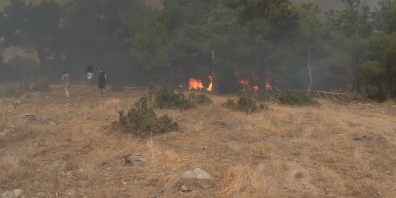 Çanakkale’deki orman yangınında can pazarı kameraya yansıdı