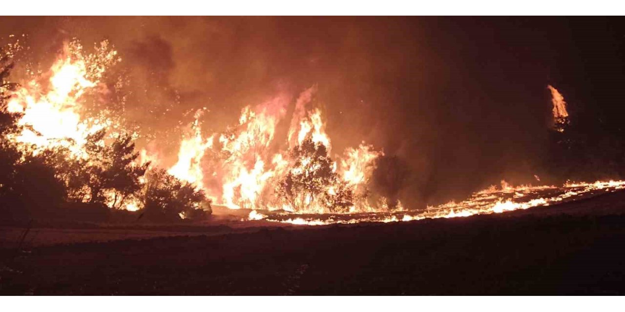 Çanakkale’deki orman yangınını söndürme çalışmaları aralıksız devam ediyor