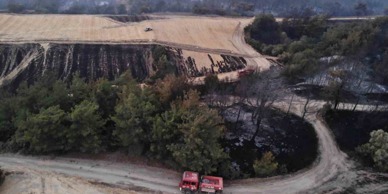 Çanakkale’de yangının boyutu gün ağarınca ortaya çıktı