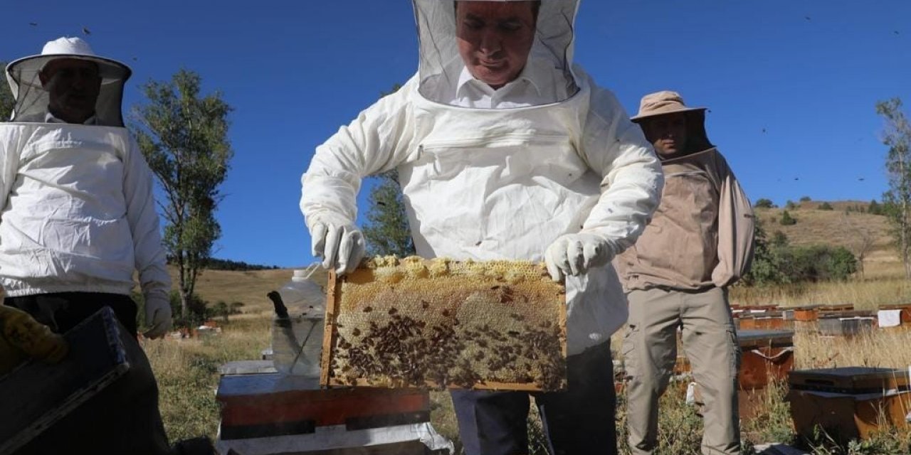 Refahiye’de bal hasadı başladı