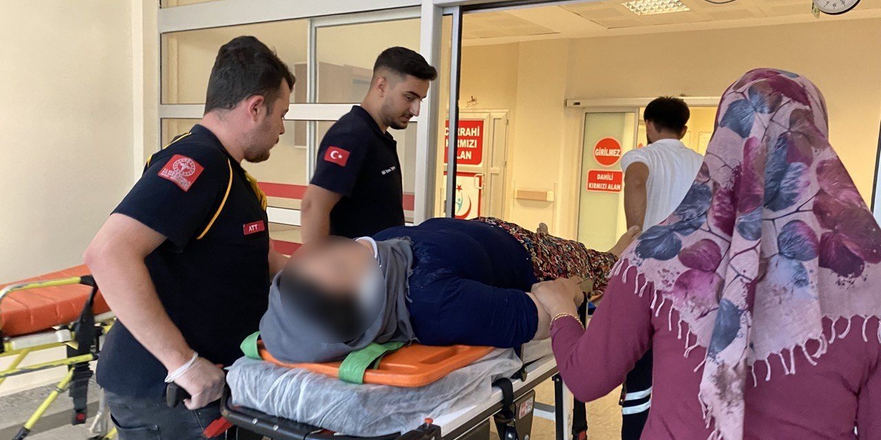 İncir ağacından düşen kadın yaralandı