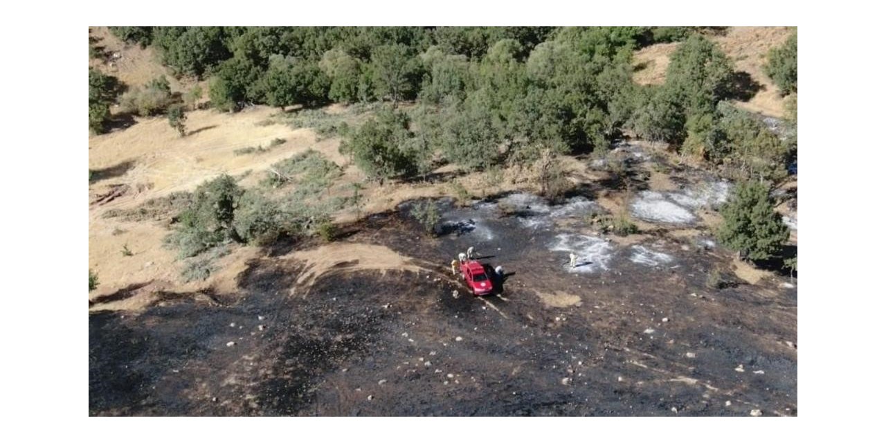 Siirt’te çıkan orman yangını kontrol altına alındı