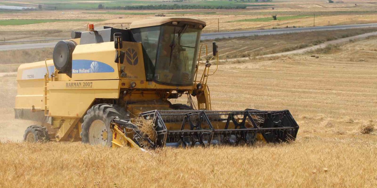 Antalya Büyükşehir Belediyesi kendi arazisinde buğday yetiştirdi