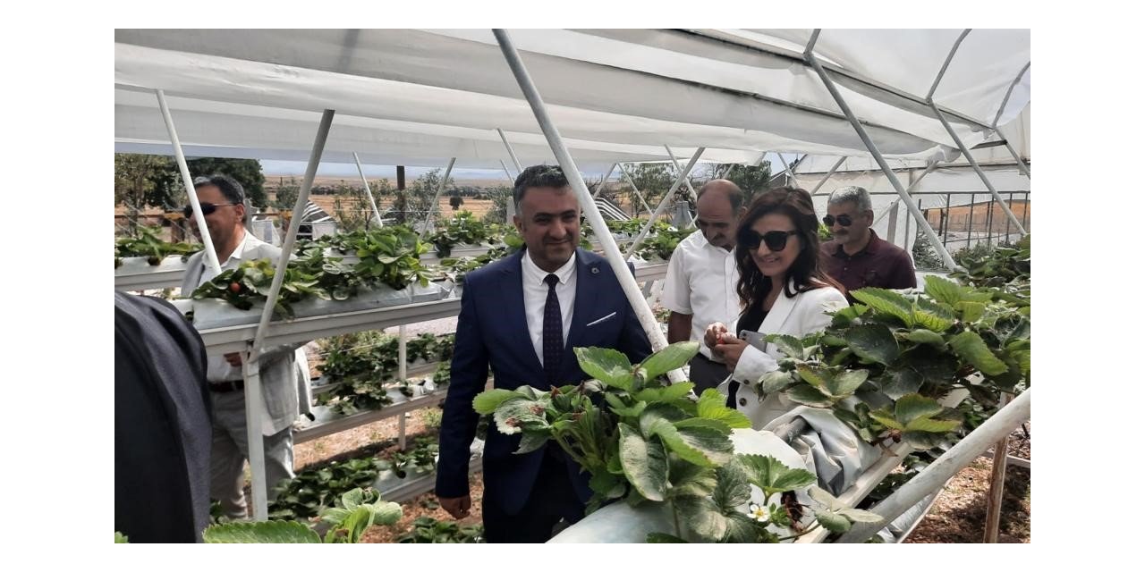 Kırsal kalkınmaya ’BEBKA’ desteği