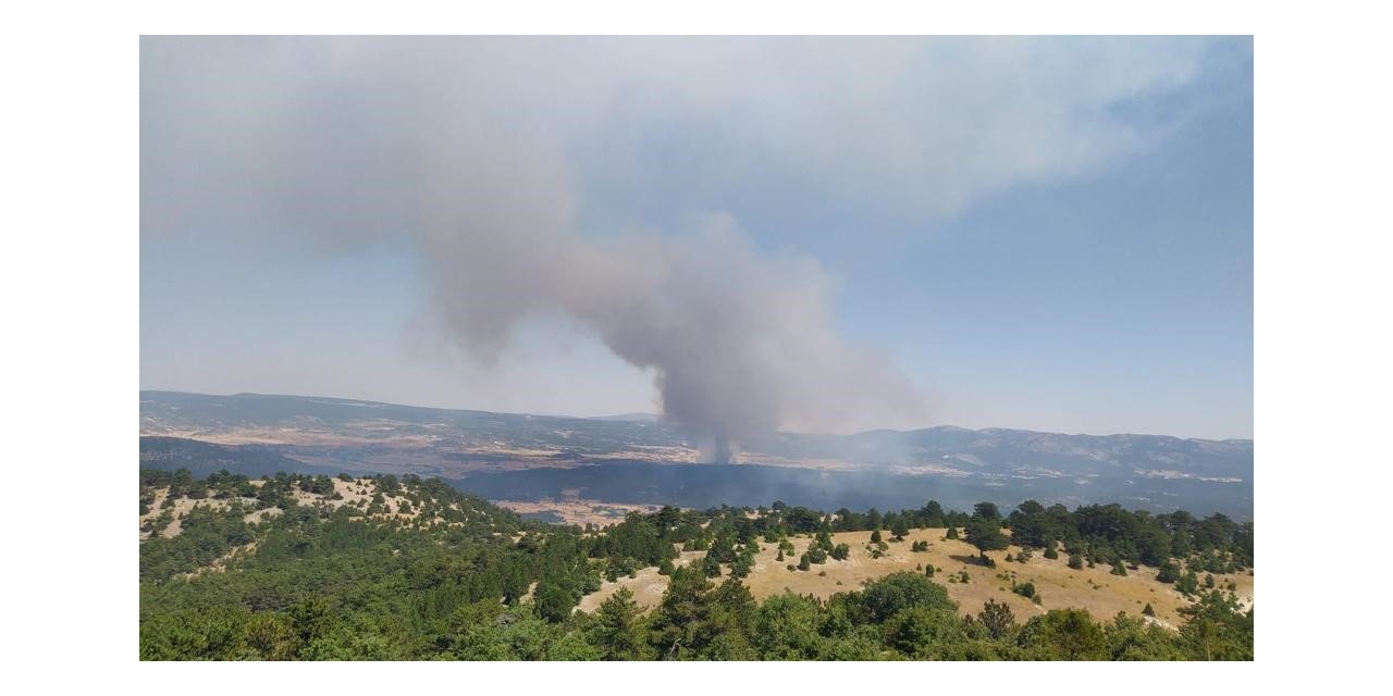 Ormana sıçrayan anız yangını yerleşim yerlerine doğru ilerliyor
