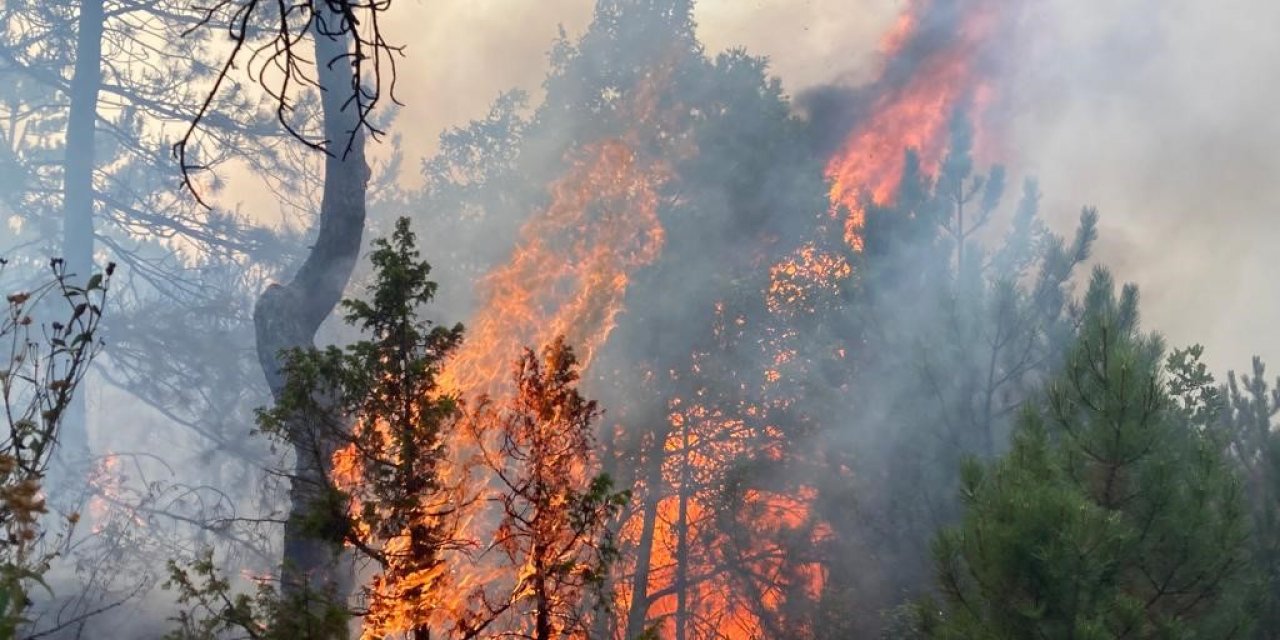 Seyitgazi’deki orman yangınına müdahale sürüyor