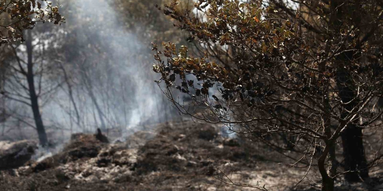 Bursa’da anız şeklinde başlayan yangın ormana sıçradı