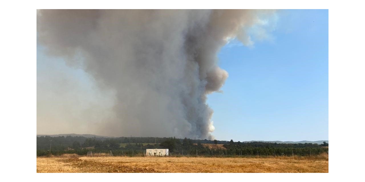 Çanakkale’deki yangın söndürme çalışmalarına TSK’dan destek