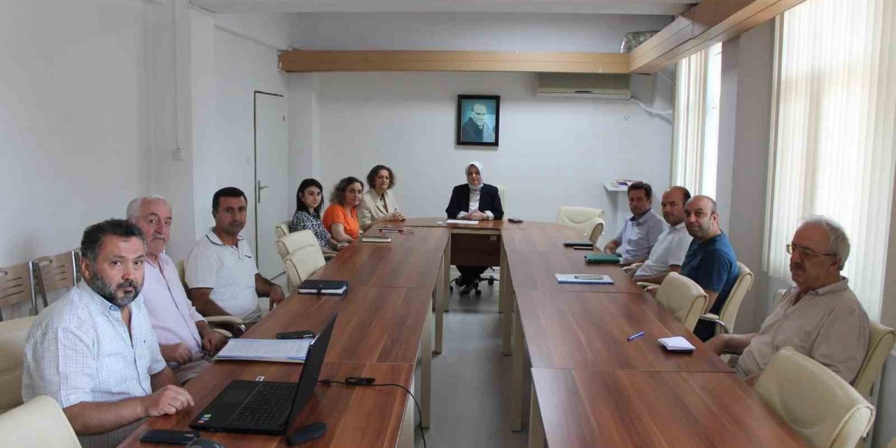 Danışmanların şartları iyileştirilecek