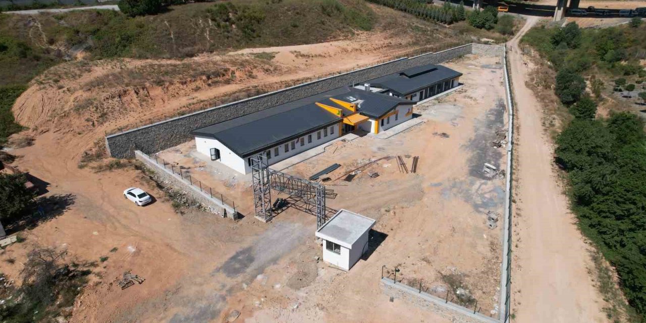 Burası sokak hayvanlarının rehabilitasyon merkezi olacak